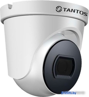 IP-камера Tantos TSi-Beco25F - фото