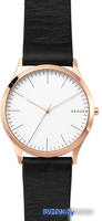 Наручные часы Skagen SKW1102 - фото