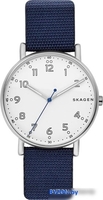 Наручные часы Skagen SKW6356 - фото