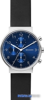 Наручные часы Skagen SKW6417 - фото