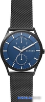 Наручные часы Skagen SKW6450 - фото