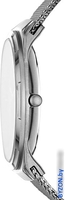 Наручные часы Skagen SKW6503 - фото2