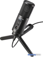 Микрофон Audio-Technica ATR2500x-USB - фото2