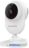 IP-камера Falcon Eye Spaik 1 - фото