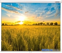 Проекционный экран Lumien Eco Picture 198x300 LEP-100120 - фото
