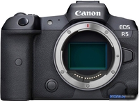 Беззеркальный фотоаппарат Canon EOS R5 Body - фото