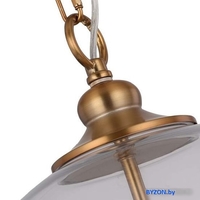 Подвесная люстра ST Luce Lateria SL362.203.03 - фото2