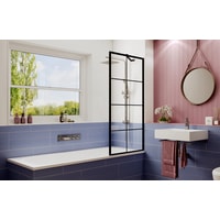Душевая шторка Ambassador Bath Screens 16041209 80 - фото2
