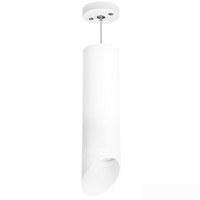 Подвесная люстра Lightstar Rullo RP649686 - фото