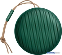 Беспроводная колонка Bang & Olufsen Beosound A1 2nd Gen (зеленый) - фото