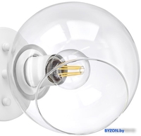 Бра Lightstar Beta 785616 - фото2