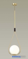 Подвесная люстра Odeon Light Flari 4810/1A - фото2