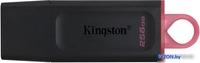 USB Flash Kingston Exodia 256GB - фото