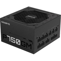 Блок питания Gigabyte P750GM - фото2