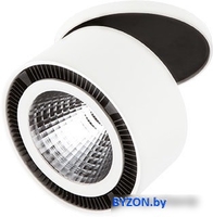 Точечный светильник Lightstar Forte inca 213806 - фото