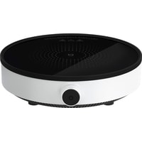 Настольная плита Xiaomi Induction Cooker Lite DCL002CM-1 (евровилка) - фото