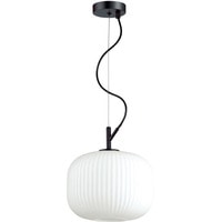 Подвесная люстра Odeon Light Roofi 4753/1 - фото