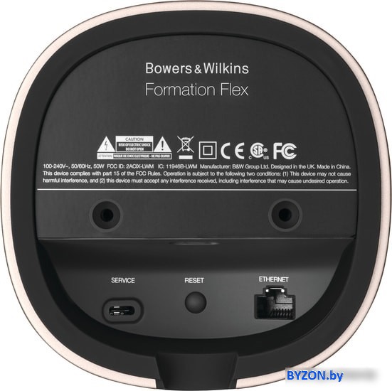 Bowers & Wilkins Formation Flex Bowers & Wilkins Formation Flex