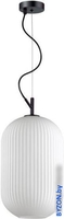 Подвесная люстра Odeon Light Roofi 4752/1 - фото