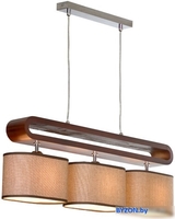 Подвесная люстра Lussole Loft Nulvi LSF-2103-03 - фото