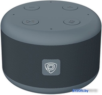 Беспроводная аудиосистема Prestigio Smartvoice (черный/серый) - фото