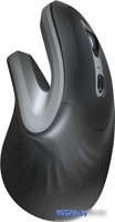 Вертикальная мышь Trust Verro Ergonomic Wireless Mouse - фото