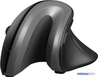 Вертикальная мышь Trust Verro Ergonomic Wireless Mouse - фото2