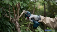 Секатор Bosch Pro Pruner Professional 06019K1020 (без АКБ) - фото2