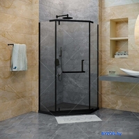 Душевой уголок RGW HO-081B 90x90 (черный/матовое) - фото