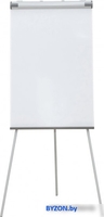 Магнитно-маркерная доска CACTUS CS-FCT-W67x105 - фото