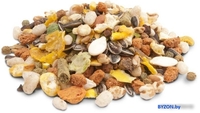 Корм для грызунов Versele Laga Crispy Muesli Hamsters & Co 20 кг - фото2