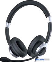 Офисная гарнитура Accutone UB610MKII ProNC USB Comfort - фото