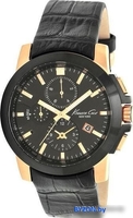 Наручные часы Kenneth Cole KC1816 - фото