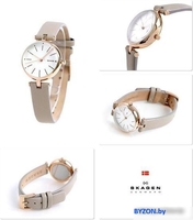 Наручные часы Skagen SKW2643 - фото2