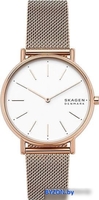 Наручные часы Skagen SKW2784 - фото