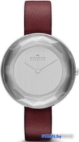 Наручные часы Skagen SKW2273 - фото