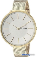 Наручные часы Skagen SKW2722 - фото