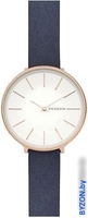 Наручные часы Skagen SKW2723 - фото