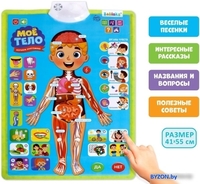 Развивающая игра Zabiaka Изучаем анатомию: Мое тело 5148294 - фото