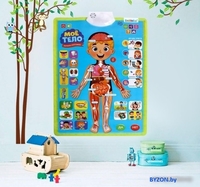Развивающая игра Zabiaka Изучаем анатомию: Мое тело 5148294 - фото2