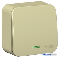 Выключатель Schneider Electric Blanca BLNVA101117 - фото