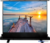 Проекционный экран CACTUS FloorExpert 113x200 CS-PSFLE-200X113 - фото
