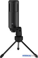 Микрофон Lorgar Voicer 521 - фото2