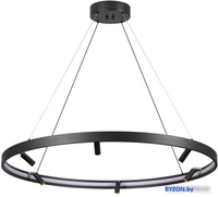 Подвесная люстра Odeon Light Fonda 4317/93L - фото