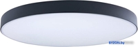 Люстра-тарелка LOFT IT Axel 10002/48 Black - фото