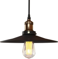 Подвесная люстра LOFT IT Factory Filament LOFT1102 - фото2