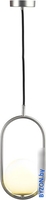 Подвесная люстра LOFT IT Glob LOFT2595-B - фото2