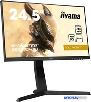 Монитор Iiyama G-Master GB2590HSU-B1 - фото2