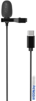 Микрофон Ritmix RCM-210 - фото
