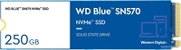 SSD WD Blue SN570 250GB WDS250G3B0C - фото